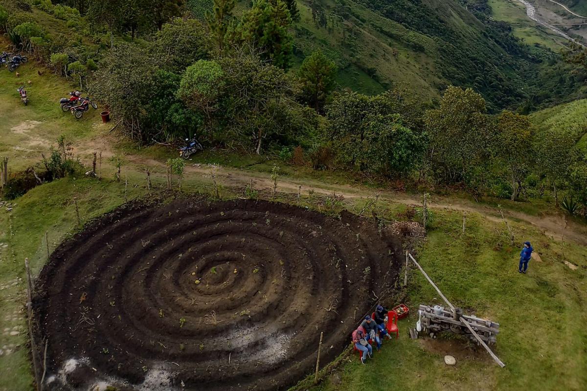 Andean landscape in Cauca with spiral orchard, a symbol of the Nasa indigenous people